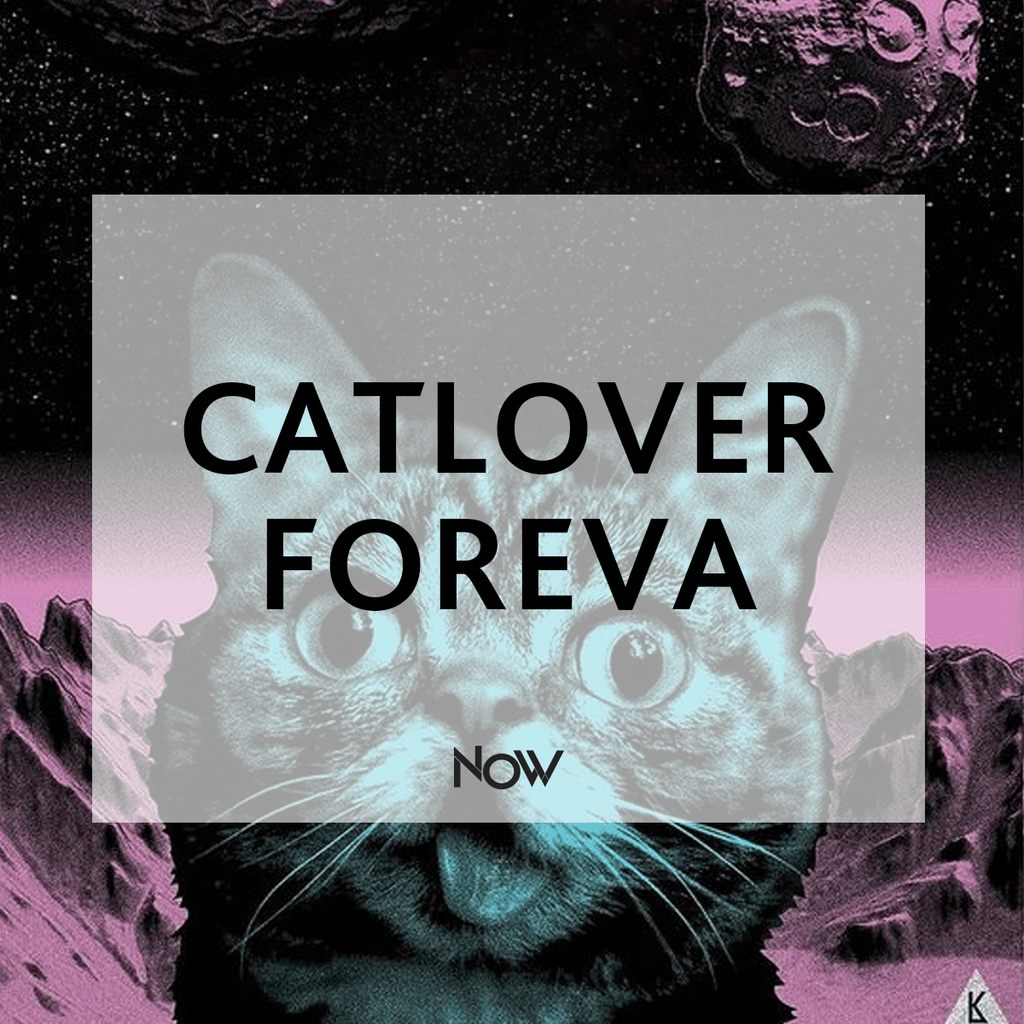 Catlovers Foreva
